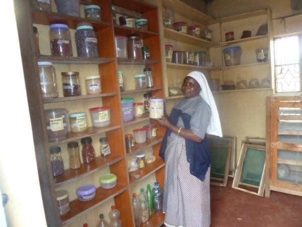 Sister Bertwilla at the G-BIACK Seed Bank